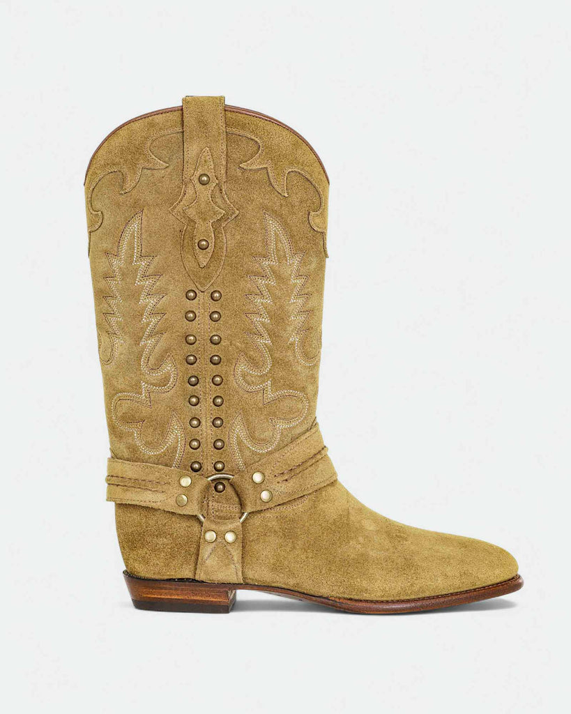 Midnight Rider Camel