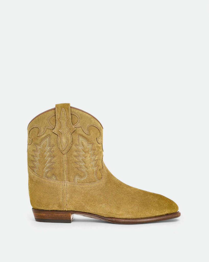 Early Midnight Camel