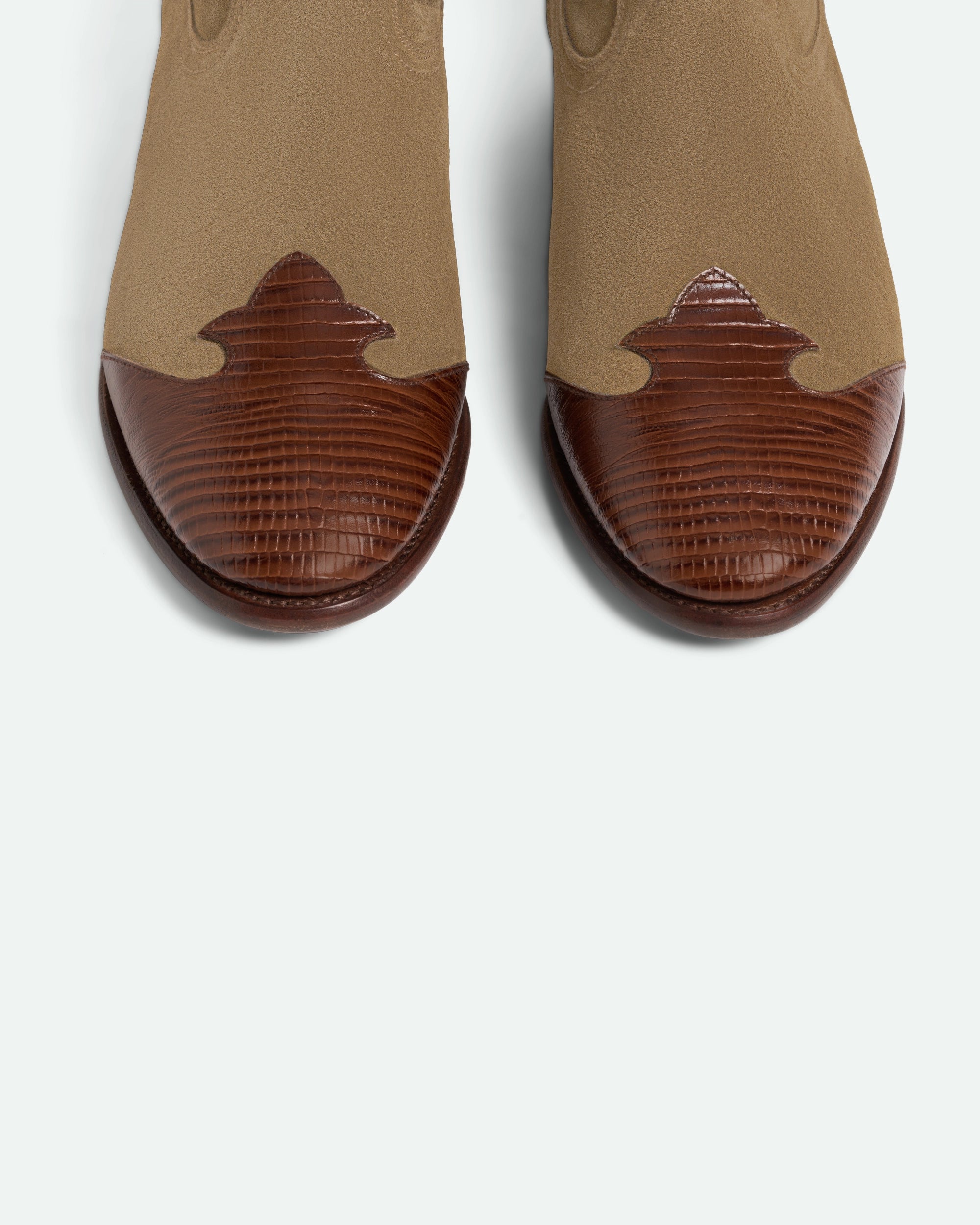Midnight Lord Chestnut Brown