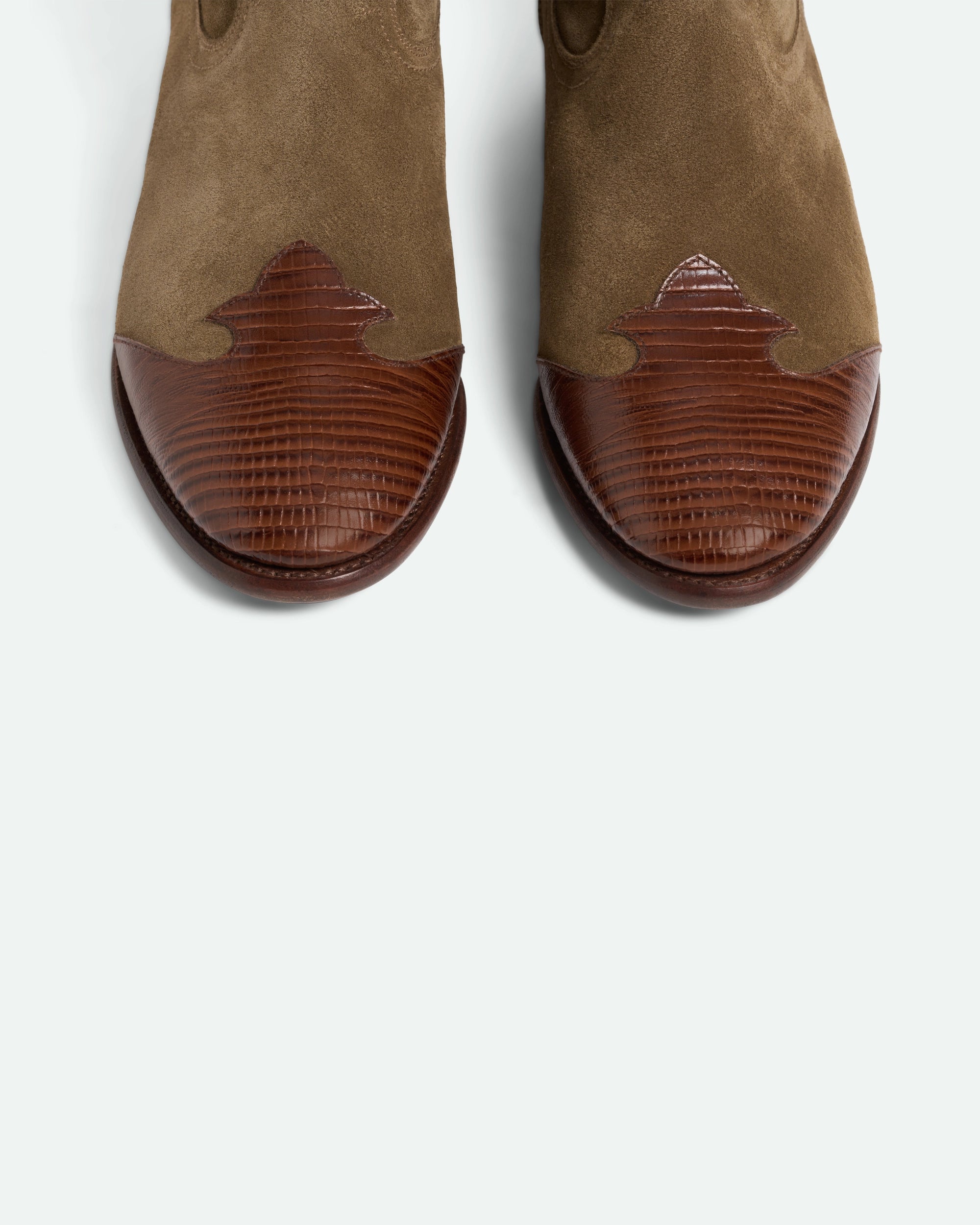 Midnight Lord Chestnut Brown